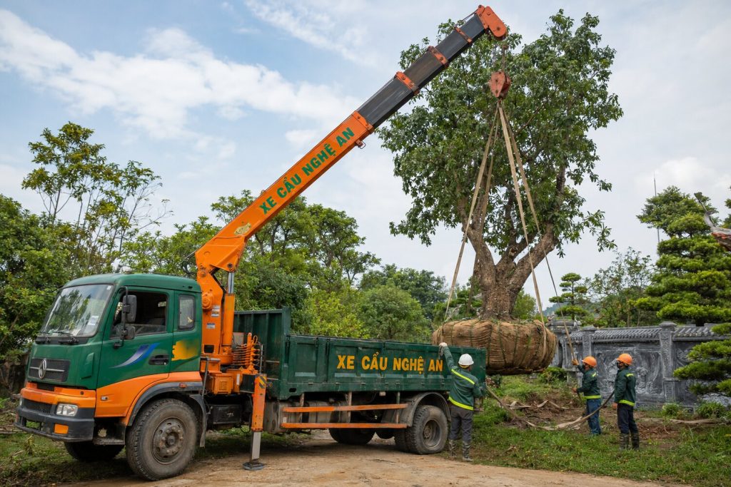 Xe cẩu cây xanh